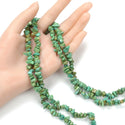 Natural Turquoise Green Howlite Gemstone Chip Beads, Free Form, 5mm-8mm, Hole ID 1mm, 1 Strand/31 Inch, GZ1-5