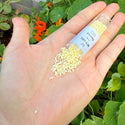 30g Miyuki Delica 11/0 Seed Beads, Duracoat Opaque Light Lemon Ice DB2101