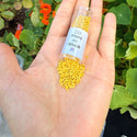 7.5g Miyuki Delica 11/0 Seed Beads, Opaque Matte Glazed Pineapple DB2284