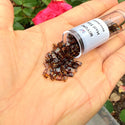 10g Miyuki Half Tila Seed Beads 5x2.3mm, Picasso Amber Brown (HTL-4502)