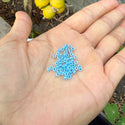 25g Miyuki Rocaille 8/0 Round Seed Bead Opaque Blue Luster Alabaster RR-537