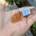 7.5g Miyuki Delica 11/0 Seed Beads Transparent Silver-Lined Marigold DB1201