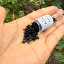 30g Miyuki Delica 10/0 Tube Seed Beads, Opaque black DBM10
