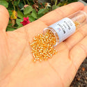 7.5g Miyuki Delica 10/0 Tube Seed Beads Transparent Silver-lined Gold DBM42