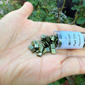10g Miyuki Full Tila Square Seed Beads 5x5mm, Luster Olive Green (TL-306)