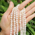 Adabele Natural Potato Round Pearl Beads, White Cultured Freshwater Pearls, 7- 8mm, 1 Strand/14 Inch, FP3-78