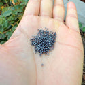 25g Miyuki Rocaille 15/0 Round Seed Beads Opaque Metallic Gunmetal RR-451