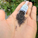 7.5g Miyuki Delica 11/0 Seed Beads, Transparent Copper-Lined Grey DB184