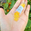 7.5g Miyuki Delica 11/0 Seed Beads, Opaque Canary Yellow Luster DB1562