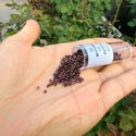 7.5g Miyuki Delica 11/0 Seed Beads, Opaque Metallic Dark Raspberry DB12