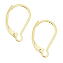 20pcs Tarnish Resistant Interchangeable Leverback Earring Hooks, 18K Yellow Gold Plated Brass, 17mm, BF260-2