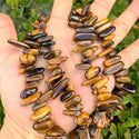 Natural Golden Yellow Tigers Eye Gemstone Stick Point Beads, Irregular, 7mm-23mm Long, Hole ID 1mm 1 Strand/15 Inch, GZ5-11