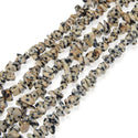 Natural Dalmatian Jasper Gemstone Chip Beads, Free Form, 5mm-8mm, Hole ID 1mm, 1 Strand/31 Inch, GZ1-3