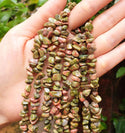 Natural Unakite Jasper Gemstone Chip Beads, Free Form, 5mm-8mm, Hole ID 1mm, 1 Strand/31 Inch, GZ1-27