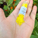 7.5g Miyuki Delica 11/0 Seed Beads, Opaque Matte Yellow DB751
