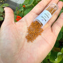 30g Miyuki Delica 11/0 Seed Beads, Opaque Matte Glazed Toast DB2286