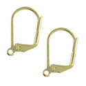 20pcs Tarnish Resistant Leverback Earring Hooks, Open Jump Ring, 18K Yellow Gold Plated Brass, 19mm, BF192