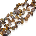 Natural Gold Yellow Tigers Eye Gemstone Petal Keishi Beads, Irregular, 10mm-20mm, Hole ID 1mm, 1 Strand/15 Inch, GZ6-7
