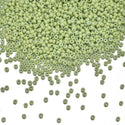 25g Miyuki Rocaille 11/0 Round Seed Beads Duracoat Opaque Fennel RR-4473