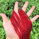 200pcs Creative Club Faceted Round Crystal Glass Beads, Siam Red, 6mm (0.24 inch), Hole ID 1mm, CC2R605