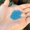 25g Miyuki Rocaille 11/0 Round Seed Beads Duracoat Opaque Bayberry RR-4482