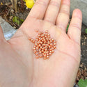 25g Miyuki Rocaille 8/0 Round Seed Beads Opaque Galvanized Muscat RR-1072