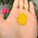 25g Miyuki Rocaille 15/0 Round Seed Beads Opaque Canary RR-404D