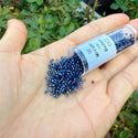 7.5g Miyuki Delica 11/0 Seed Beads, Night Sky-Lined Luster Clear DB2386