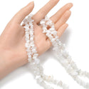 Natural White Moonstone Gemstone Chip Beads, Free Form, 5mm-8mm, Hole ID 1mm, 1 Strand/31 Inch, GZ1-37