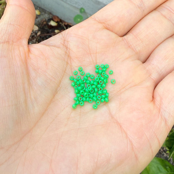 25g Miyuki Rocaille 11/0 Round Seed Bead Duracoat Opaque Fiji Green RR-4476