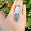 7.5g Miyuki Delica 11/0 Seed Beads, Opaque Grey DB731