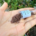 7.5g Miyuki Delica 11/0 Seed Beads, Nickel-Plated Dyed Cinnamon Brown DB460