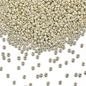 50g Miyuki Rocaille 11/0 Round Seed Bead Duracoat Galvanized Silver RR-4201