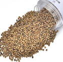 25g Miyuki Rocaille 11/0 Round Seed Beads Opaque Picasso Brown RR-4517