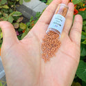 30g Miyuki Delica 11/0 Seed Beads, Duracoat Opaque Light Maple DB2107