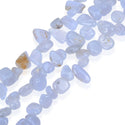 Natural Blue Lace Agate Gemstone Petal Keishi Beads, Irregular, 10mm-20mm, Hole ID 1mm, 1 Strand/15 Inch, GZ6-1