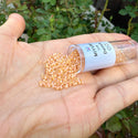 30g Miyuki Delica 11/0 Seed Beads, Matte Rainbow Light Topaz DB852