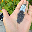 30g Miyuki Delica 11/0 Seed Beads, Duracoat Opaque Charcoal Grey DB2368