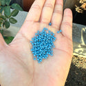25g Miyuki Rocaille 8/0 Seed Beads Duracoat Opaque Dyed Bayberry RR-4482