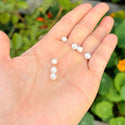 4pcs Natural AAAA Grade High Luster Half Drilled Round Pearls Beads, White Cultured Freshwater Pearls, 5-6mm, Hole ID 0.85mm, PH4-56