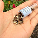 10g Miyuki Half Tila Seed Beads 5x2.3mm, Metallic Dark Bronze (HTL-457)