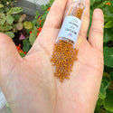 30g Miyuki Delica 11/0 Seed Beads, Opaque Matte Glazed Toast DB2286