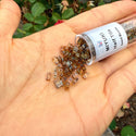 10g Miyuki Half Tila Seed Beads 5x2.3mm, Picasso Light Amber (HTL-4501)