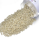 50g Miyuki Rocaille 11/0 Round Seed Bead Duracoat Galvanized Silver RR-4201