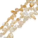 Natural Yellow Citrine Crystal Gemstone Petal Keishi Beads, Irregular, 10mm-20mm, Hole ID 1mm, 1 Strand/15 Inch, GZ6-39