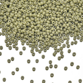 25g Miyuki Rocaille 11/0 Round Seed Beads Duracoat Opaque Cactus RR-4474