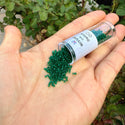 30g Miyuki Delica 11/0 Seed Beads, Translucent Matte Emerald Green DB776