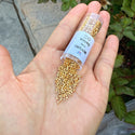 30g Miyuki Delica 11/0 Seed Beads, Opaque 24Kt Gold Plated DB31
