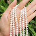 Adabele Natural AAA Grade Round Pearl Beads, White Cultured Freshwater Pearls, 7- 8mm, 1 Strand/14 Inch, FPA-78