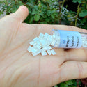 10g Miyuki Full Tila Square Seed Beads 5x5mm, Ceylon Antique Ivory Pearl (TL-592)